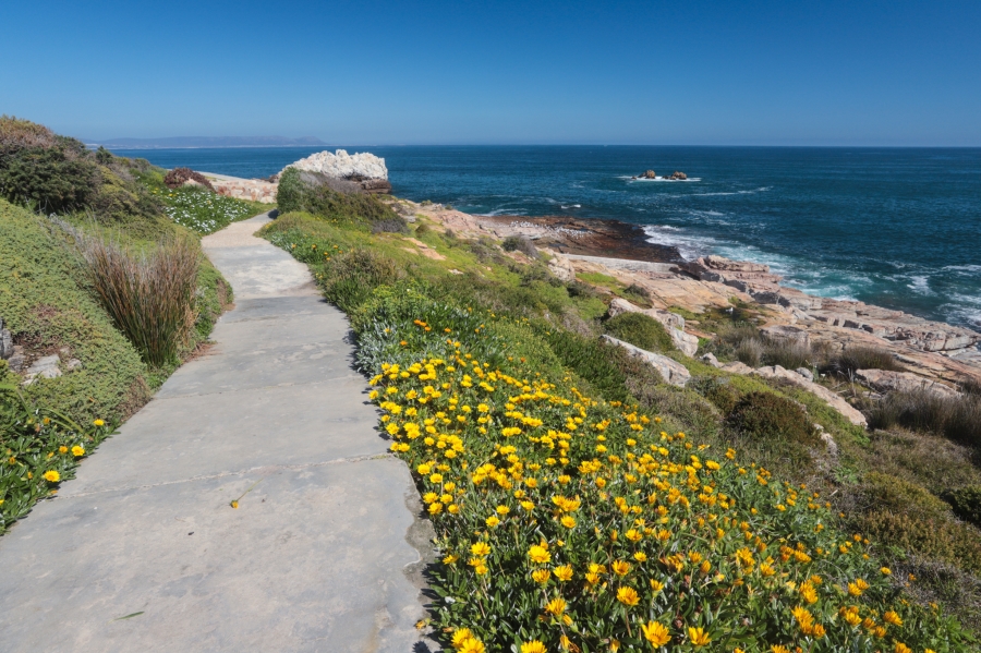 1 Bedroom Property for Sale in Sandbaai Western Cape